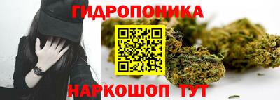 шишки Туймазы