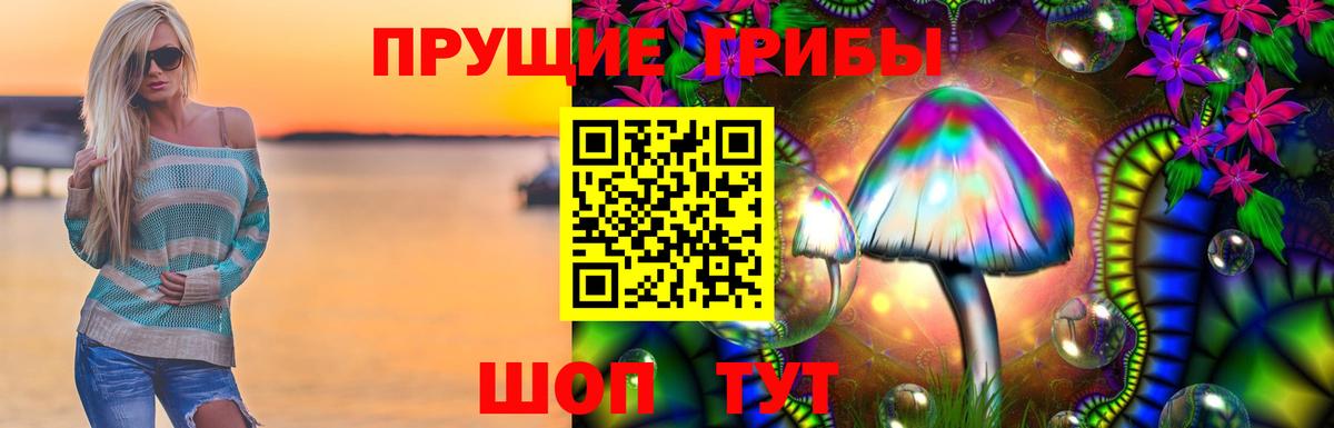 Псилоцибиновые грибы Cubensis Касимов